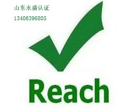 Reach认证